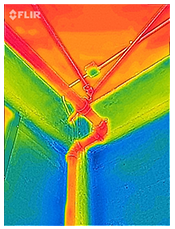 FlirOne immagine scansione termica 1